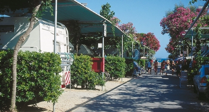 zobacz camping - zdjęcie 19