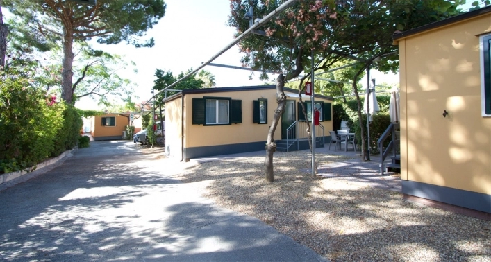 zobacz camping - zdjęcie 17