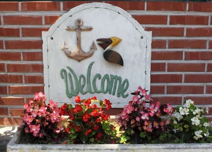 zobacz camping - zdjęcie 13