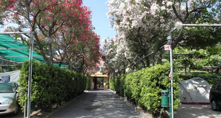 zobacz camping - zdjęcie 9