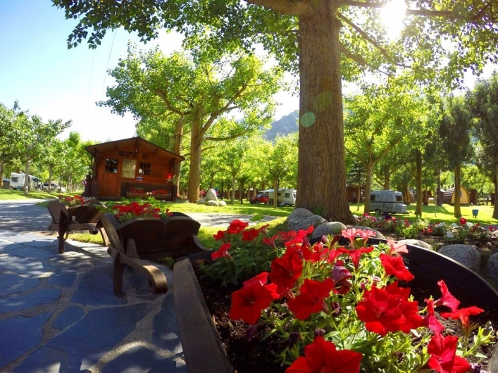 zobacz camping - zdjęcie 9