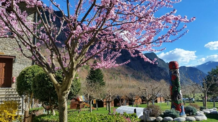 zobacz camping - zdjęcie 2