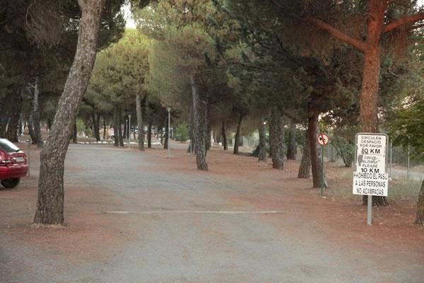 zobacz camping - zdjęcie 9