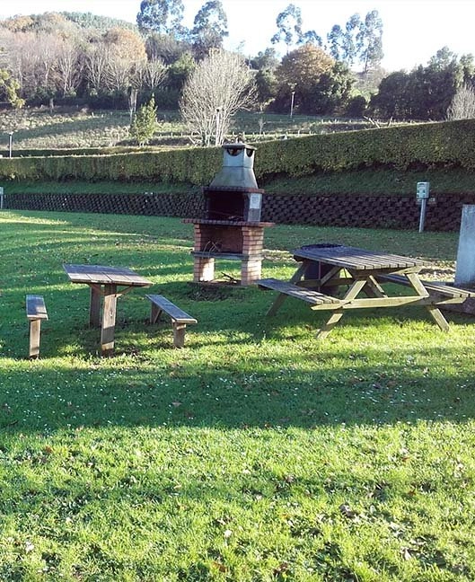 zobacz camping - zdjęcie 13