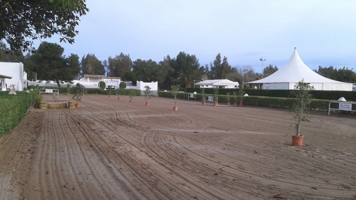 zobacz camping - zdjęcie 14