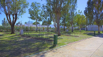 zobacz camping - zdjęcie 7