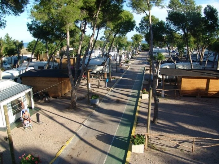 zobacz camping - zdjęcie 11