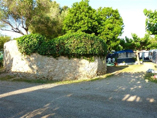 zobacz camping - zdjęcie 13