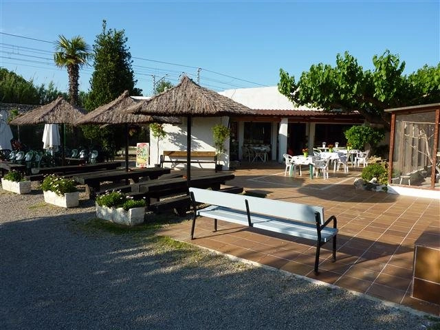 zobacz camping - zdjęcie 10