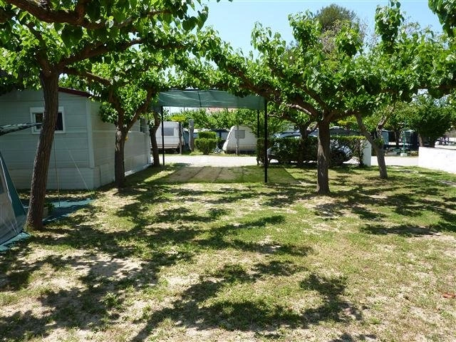 zobacz camping - zdjęcie 8