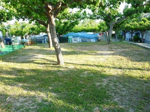 zobacz camping - zdjęcie 6