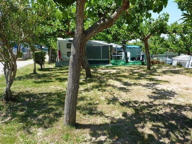 Camping Don Quijote - zdjęcie 4