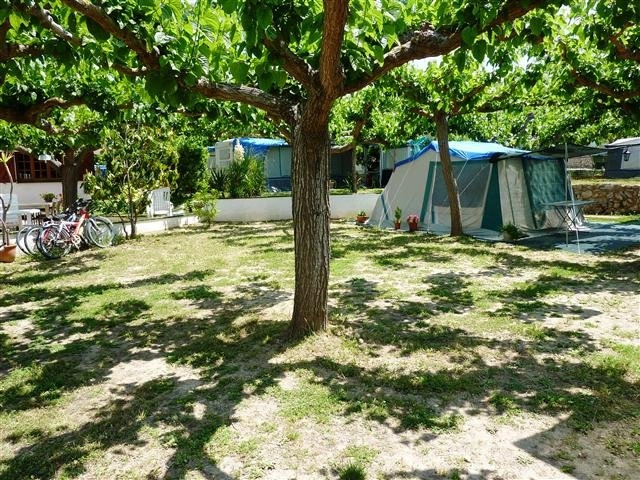 zobacz camping - zdjęcie 4