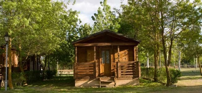 zobacz camping - zdjęcie 22