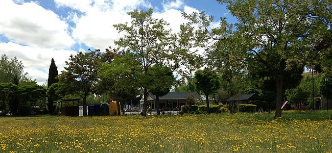 zobacz camping - zdjęcie 6