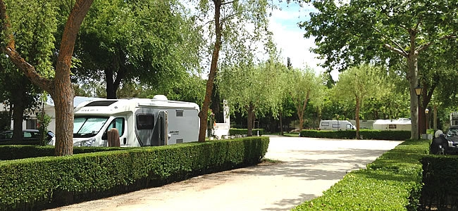 Camping Don Quijote - zdjęcie 4