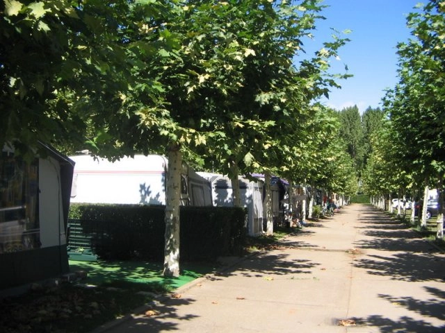 zobacz camping - zdjęcie 17