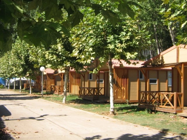 zobacz camping - zdjęcie 14