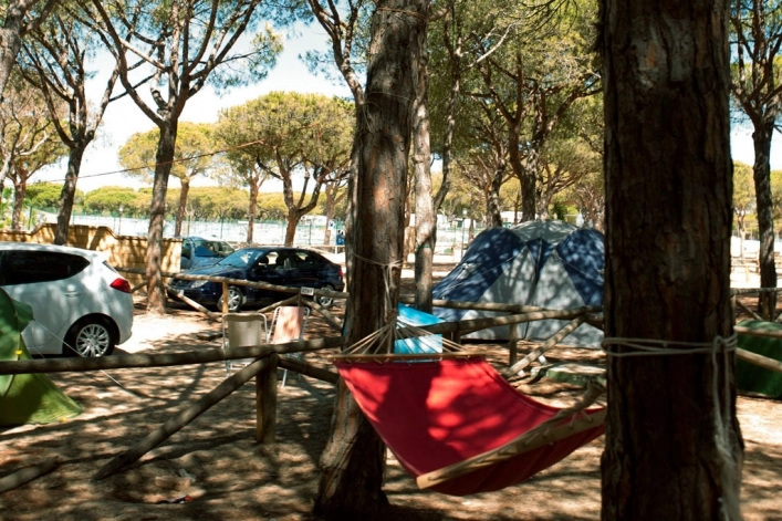 zobacz camping - zdjęcie 22