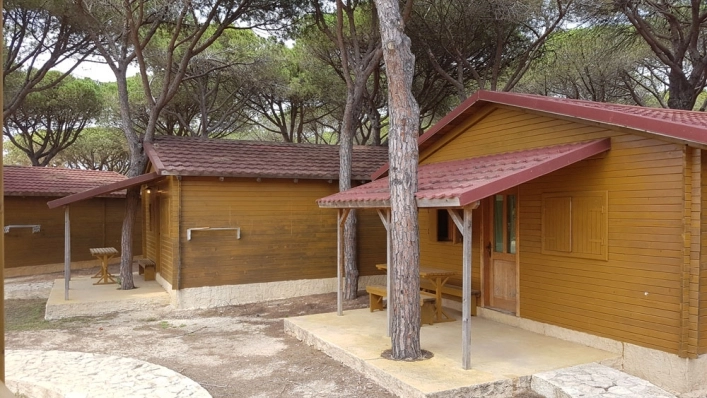 zobacz camping - zdjęcie 15