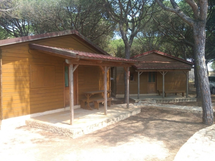 zobacz camping - zdjęcie 14