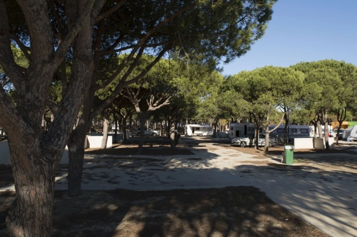 zobacz camping - zdjęcie 11