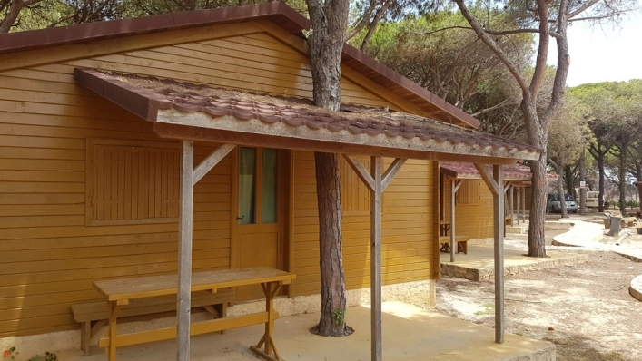 zobacz camping - zdjęcie 4