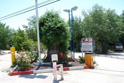 Camping D'oremor - zdjęcie 1