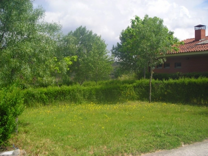 zobacz camping - zdjęcie 6