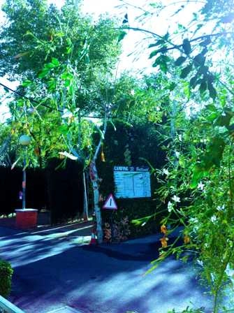 zobacz camping - zdjęcie 2