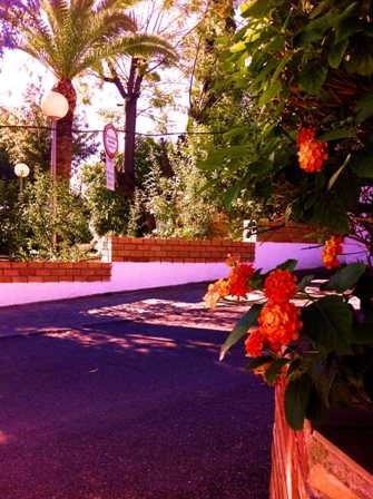 Camping el Brillante - zdjęcie 1