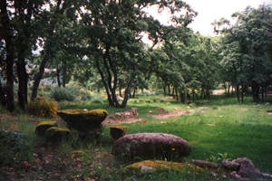 Camping el Burro Blanco - zdjęcie 2