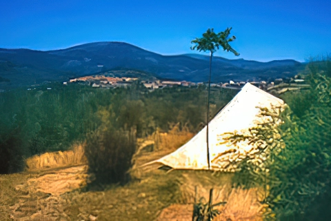 Camping el Burro Blanco