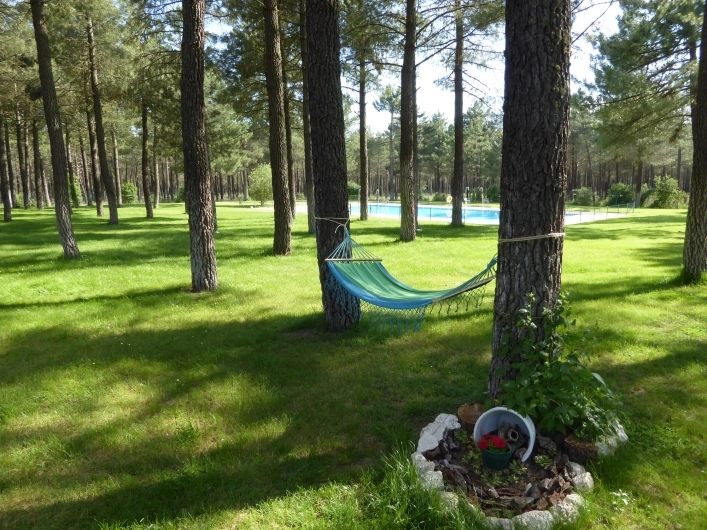 zobacz camping - zdjęcie 26