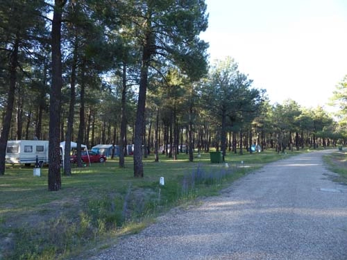 zobacz camping - zdjęcie 25