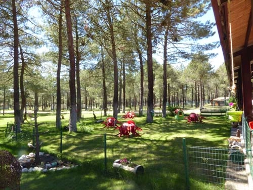 zobacz camping - zdjęcie 23