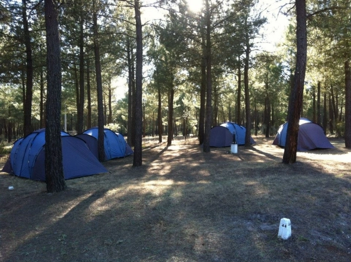 zobacz camping - zdjęcie 22