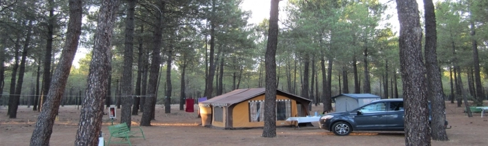 zobacz camping - zdjęcie 21