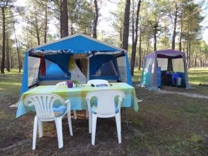 zobacz camping - zdjęcie 14