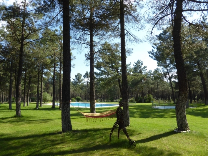 zobacz camping - zdjęcie 13