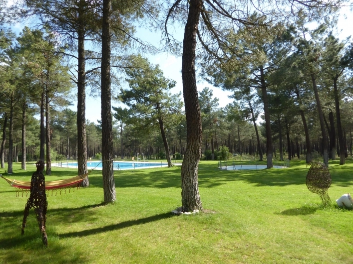 zobacz camping - zdjęcie 12