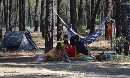 zobacz camping - zdjęcie 10