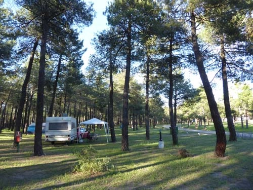 zobacz camping - zdjęcie 9