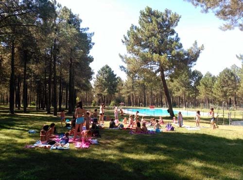 zobacz camping - zdjęcie 8