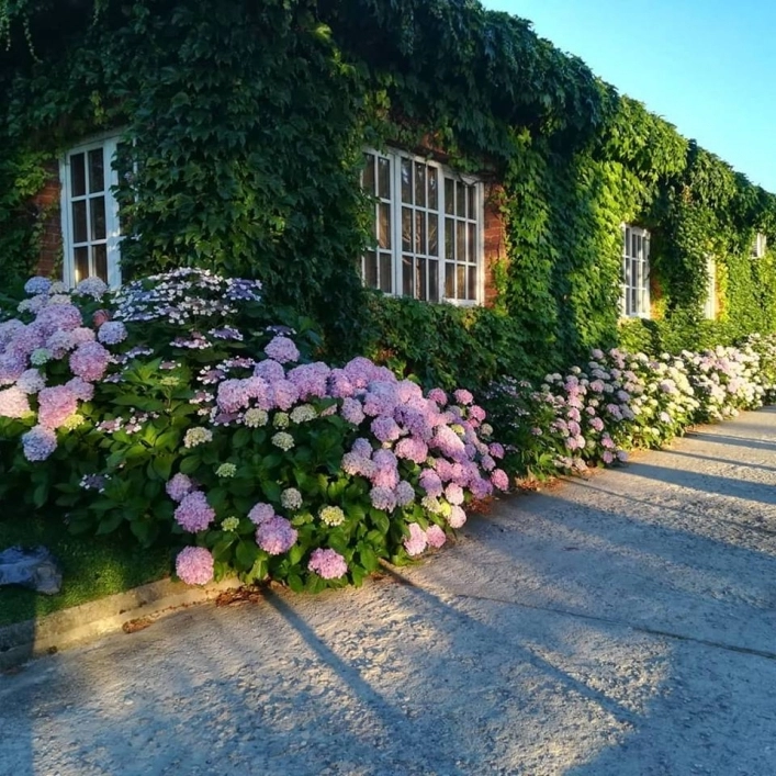 zobacz camping - zdjęcie 20