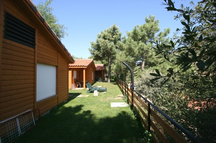 zobacz camping - zdjęcie 19