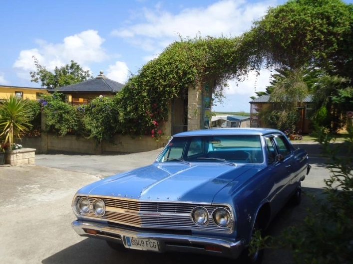 zobacz camping - zdjęcie 17