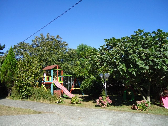 zobacz camping - zdjęcie 16