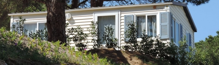 zobacz camping - zdjęcie 21