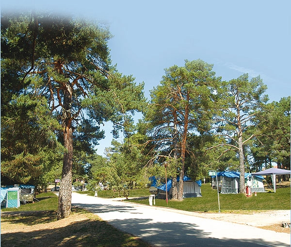 zobacz camping - zdjęcie 7